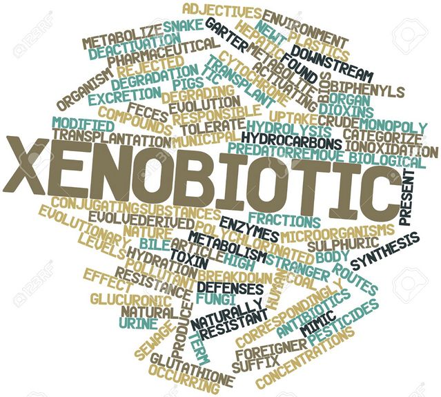 xenobiotic-1-.jpg