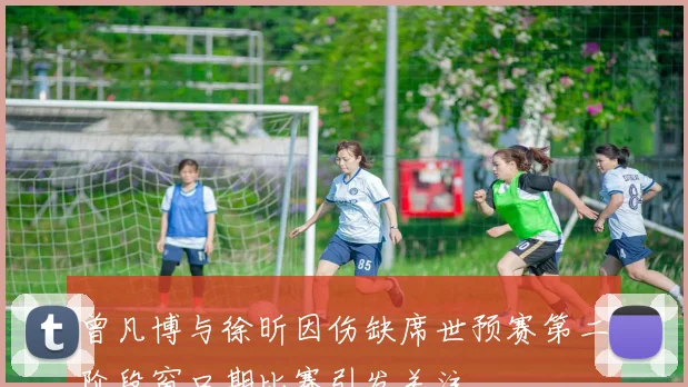 曾凡博与徐昕因伤缺席世预赛第二阶段窗口期比赛引发关注
