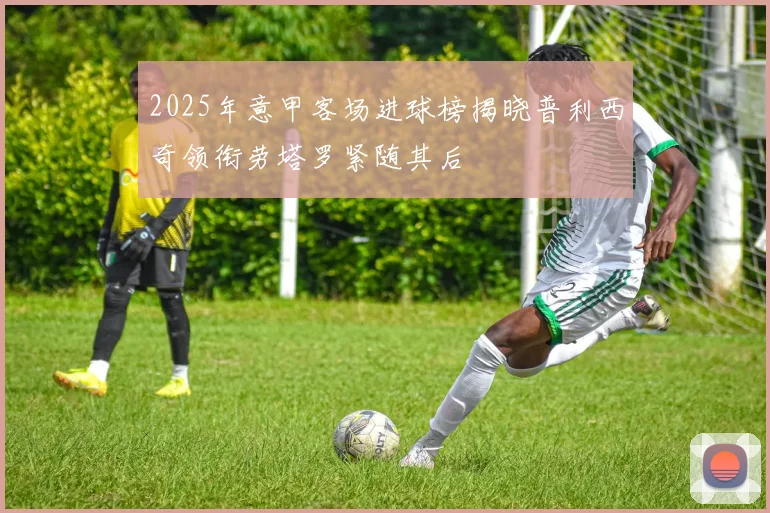 2025年意甲客场进球榜揭晓普利西奇领衔劳塔罗紧随其后