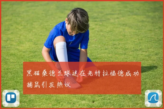 黑猫桑德兰球迷在老特拉福德成功捕鼠引发热议