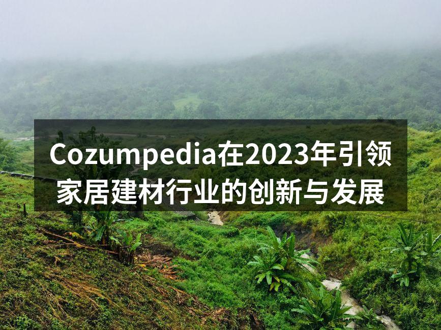 Cozumpedia在2023年引领家居建材行业的创新与发展
